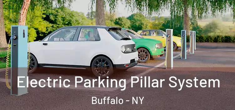Electric Parking Pillar System Buffalo - NY